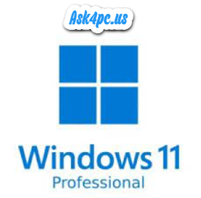 Windows 11 Professional Download