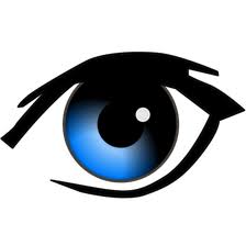 iSpy